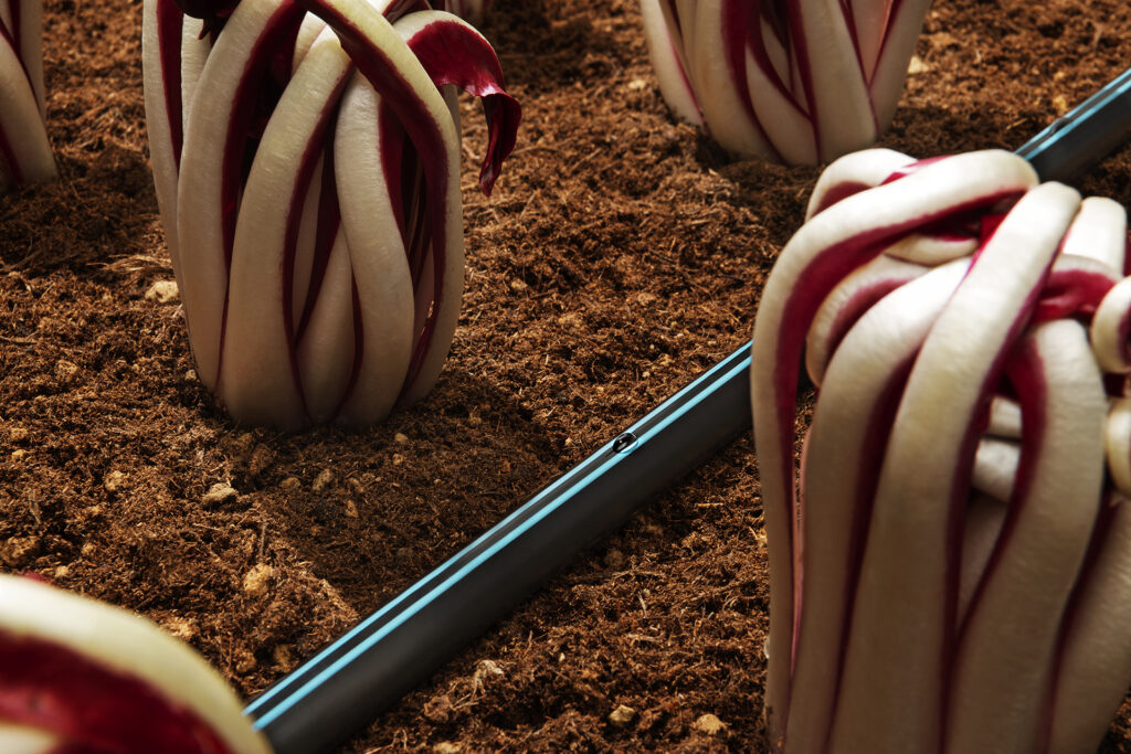 Galleria Aqua-Traxx® B-come