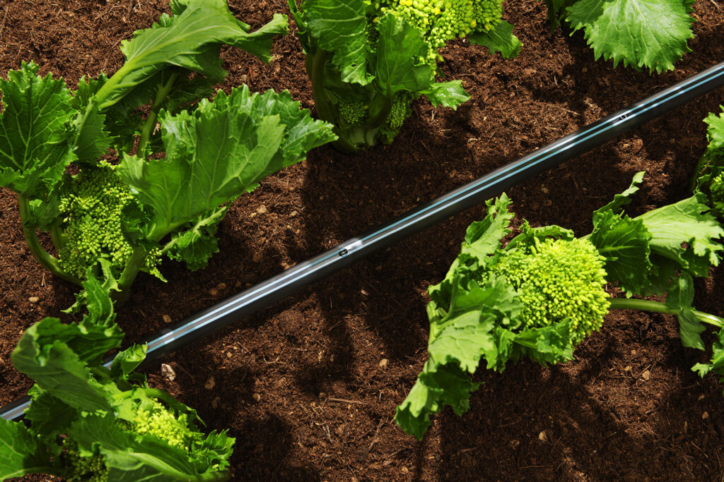 Galleria Aqua-Traxx® B-come