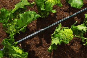 Galleria Aqua-Traxx® B-come