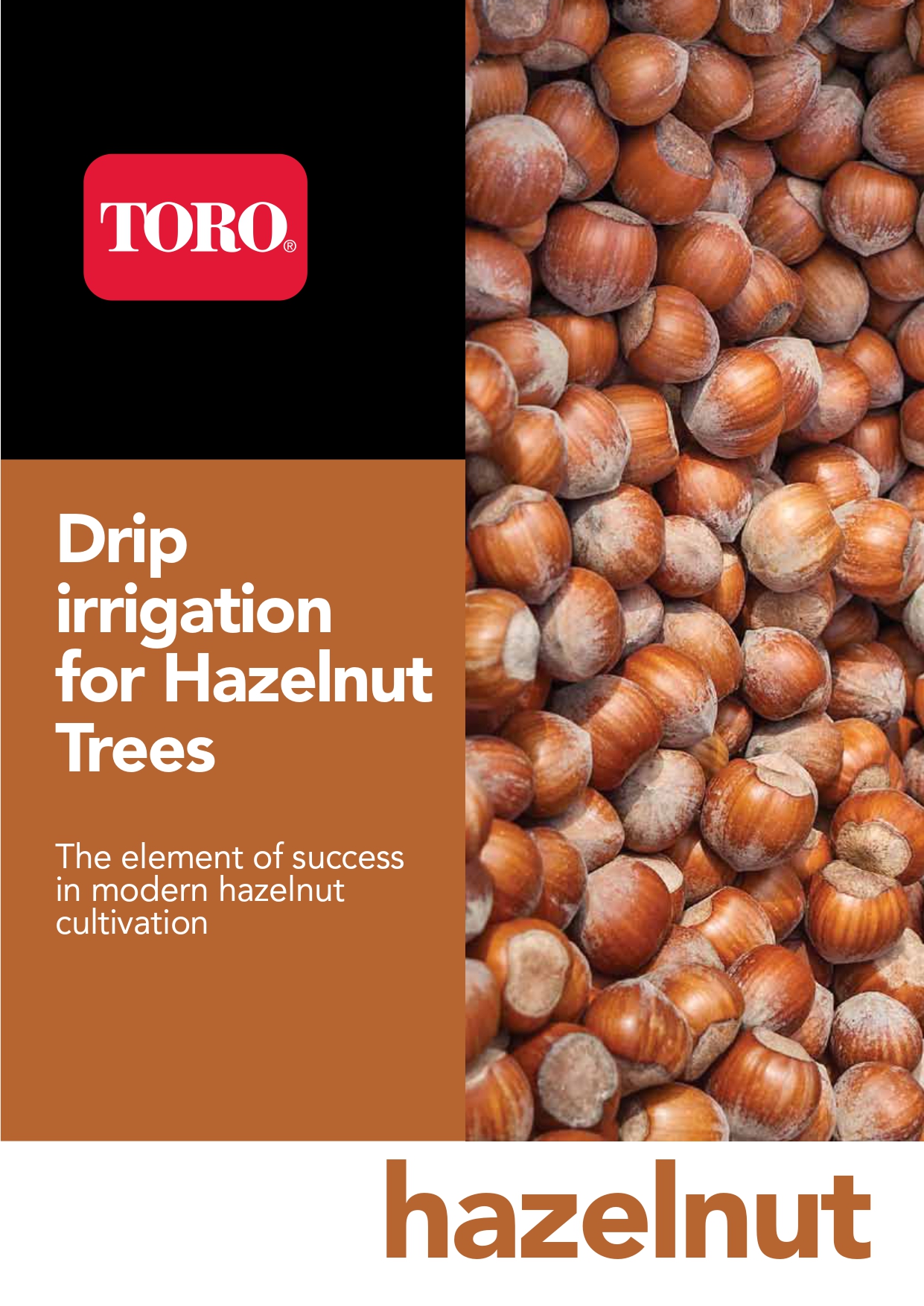 Hazelnut Drip Irrigation