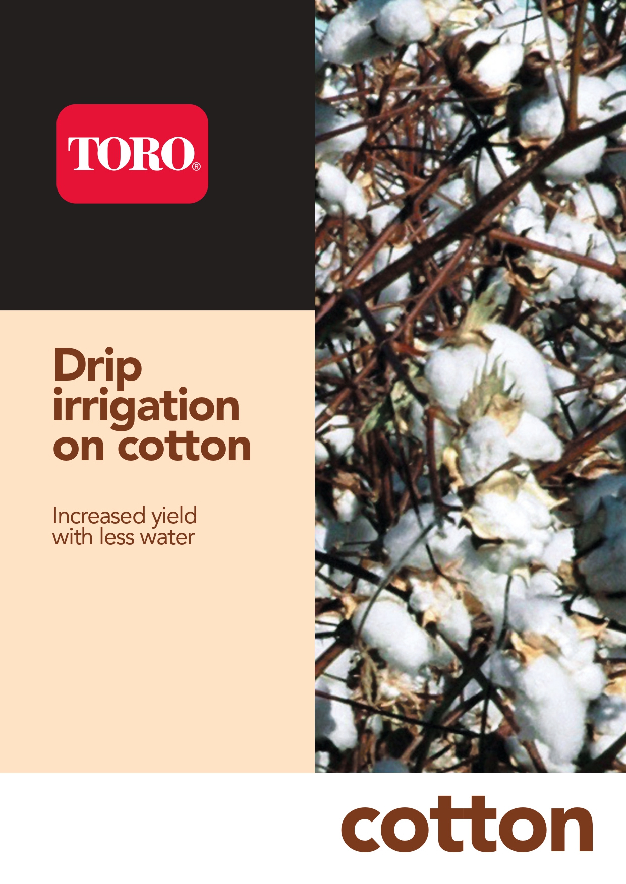 Cotton drip irrigation